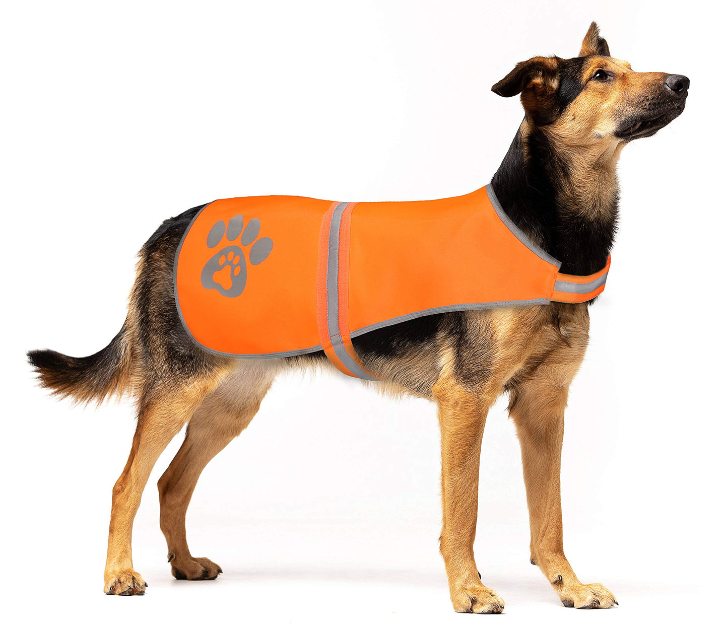 SPOFLY Reflective Safety Dog Vest High Visibility Keep Dogs Visible Outdoor Activity Day and Night Hunting and Walking Dog Jacket for Small Medium and Large Dogs (Blaze Orange L)