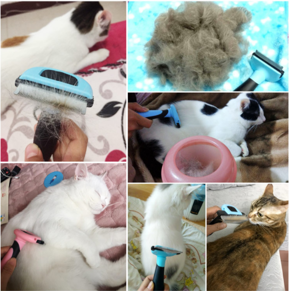 Self-Cleaning Pet Brush for Dogs and Cats