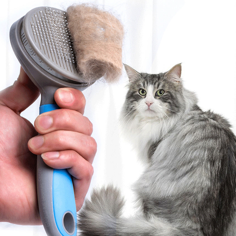 Self-Cleaning Stainless Steel Pet Brush for Dogs and Cats